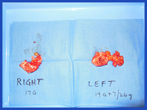 specimen-pic